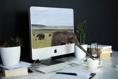 Quart de Poblet Defensor Del Multipropietario